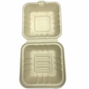 6x6-bagasse-container-.png