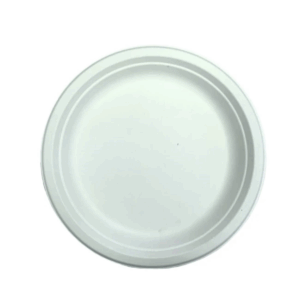 bagasse-plate-.png