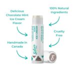chocolate-mint-lip-balm-application.jpg