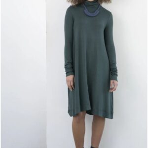 steve-flared-turtleneck-dress-front.jpg